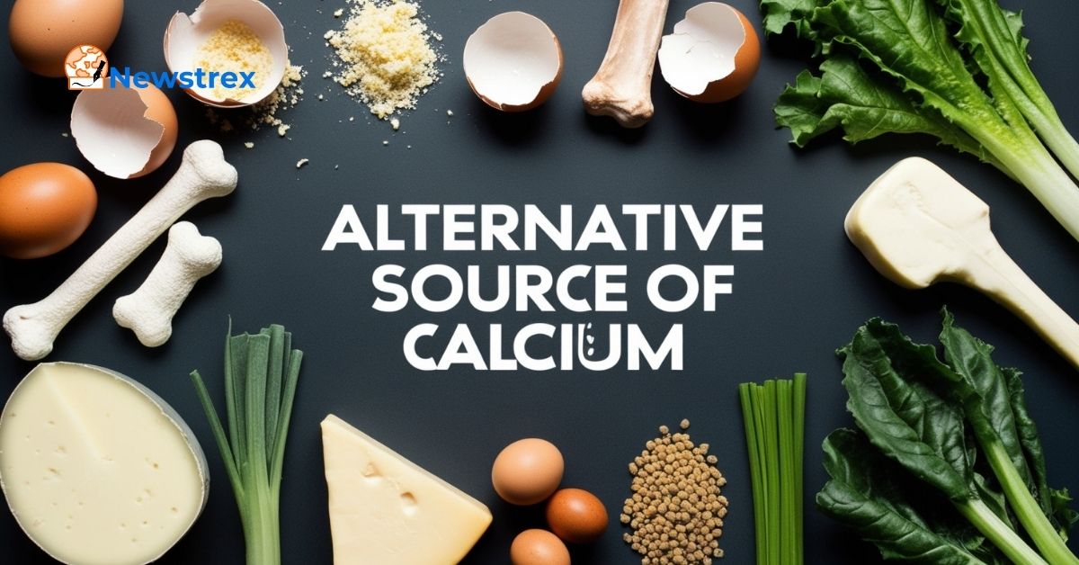 Alternative Sources of Calcium for Dogs