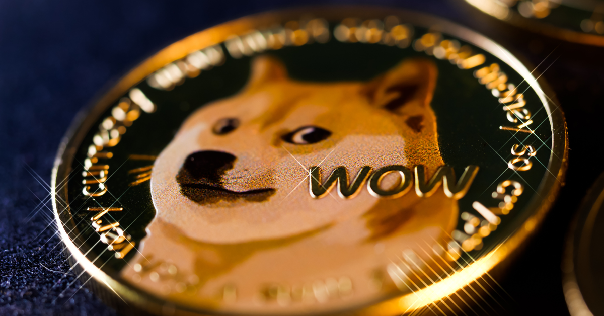 Crypto30x.com Dogecoin